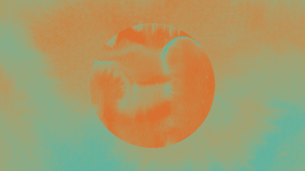 Sofie Birch / Cara Tolmie — poster